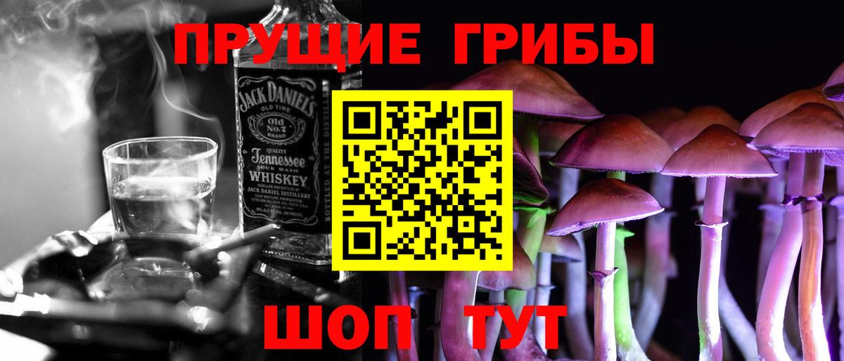 Галлюциногенные грибы Cubensis  Вход с VPN  Ялуторовск 