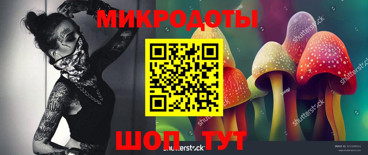 Псилоцибиновые грибы ЛСД Ялуторовск
